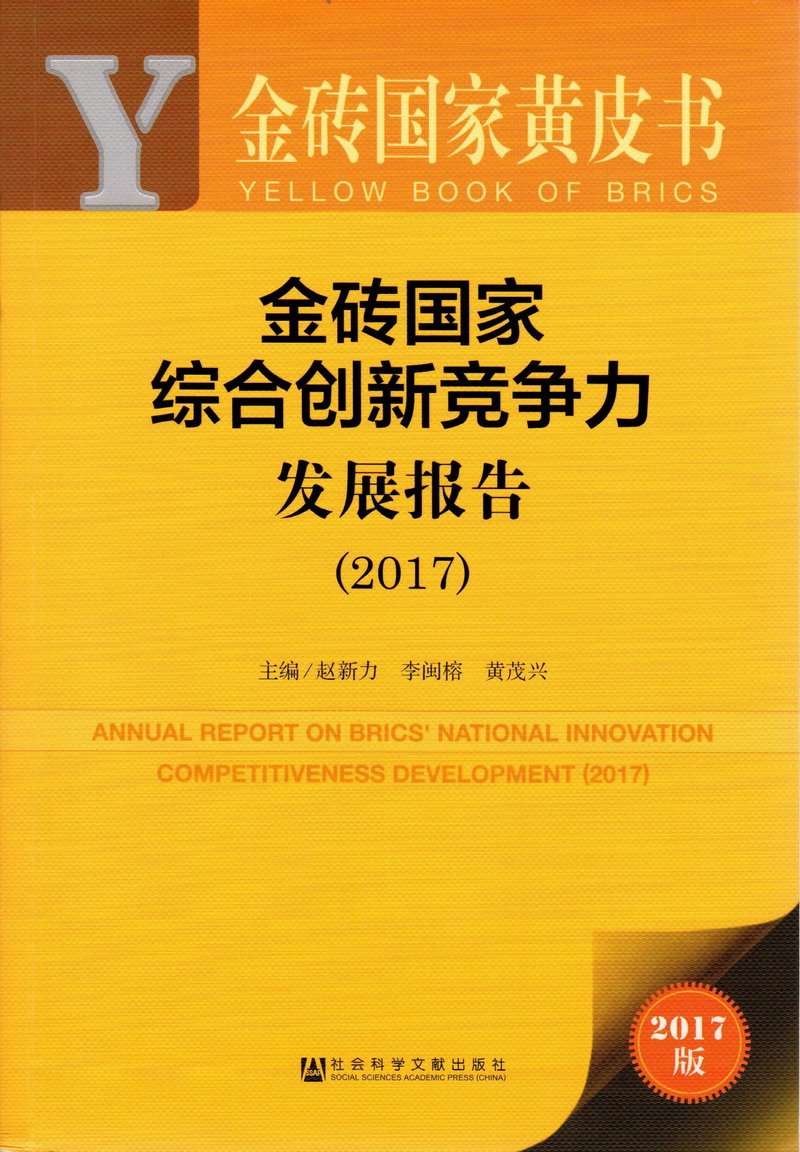 啊啊啊啊啊啊操逼啊金砖国家综合创新竞争力发展报告（2017）